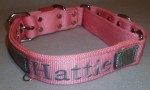 1.5" DualGrip Collar, Stripe & Embroidery